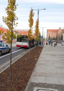 Tymczasowy przystanek autobusowy Centrum w alei Piłsudskiego (31 października 2015)